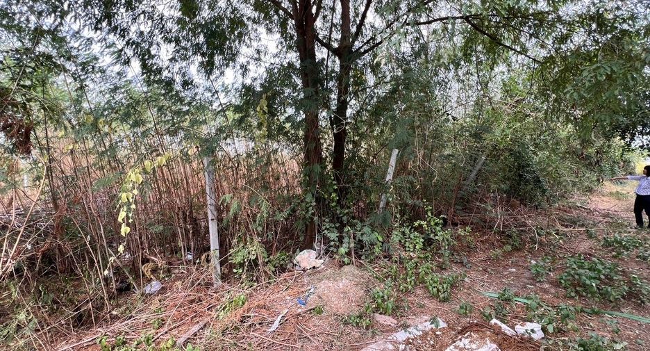 For sale land in Mueang Suphanburi, Suphan Buri
