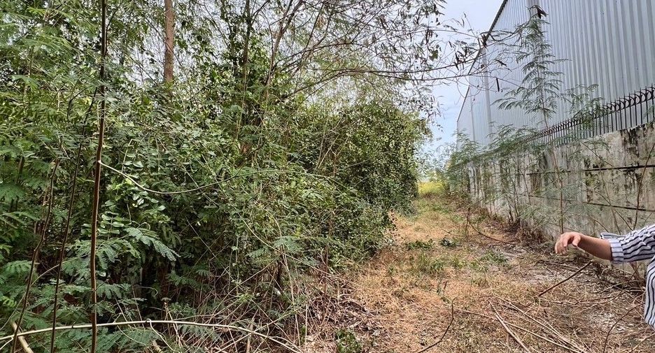 For sale land in Mueang Suphanburi, Suphan Buri