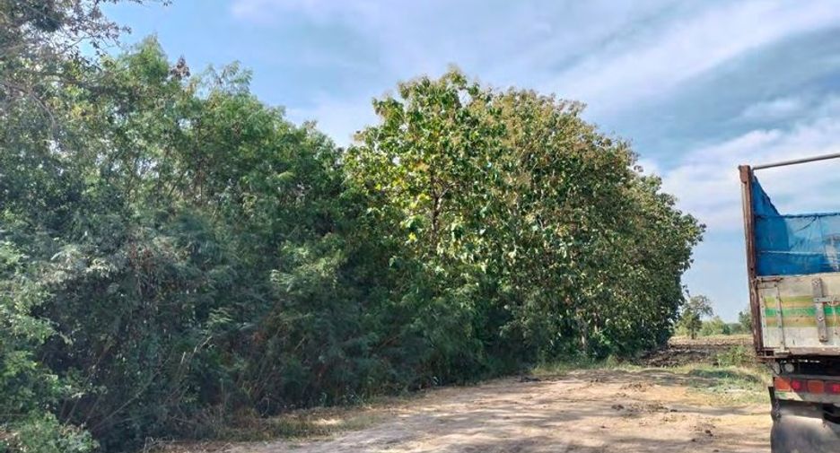 For sale land in Khok Samrong, Lopburi
