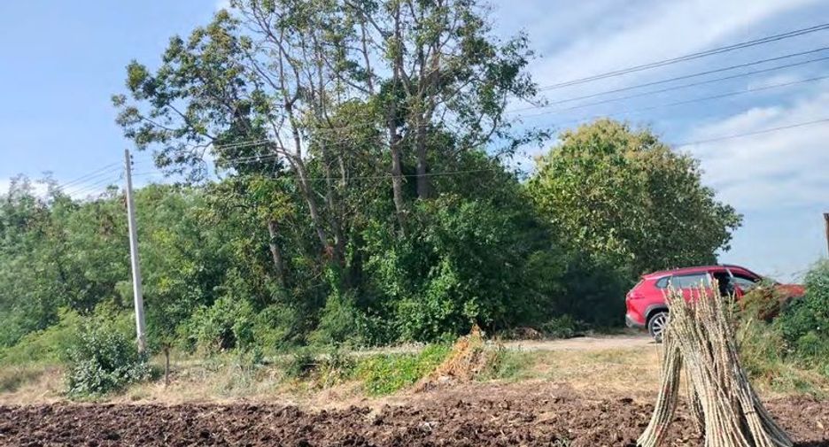 For sale land in Khok Samrong, Lopburi