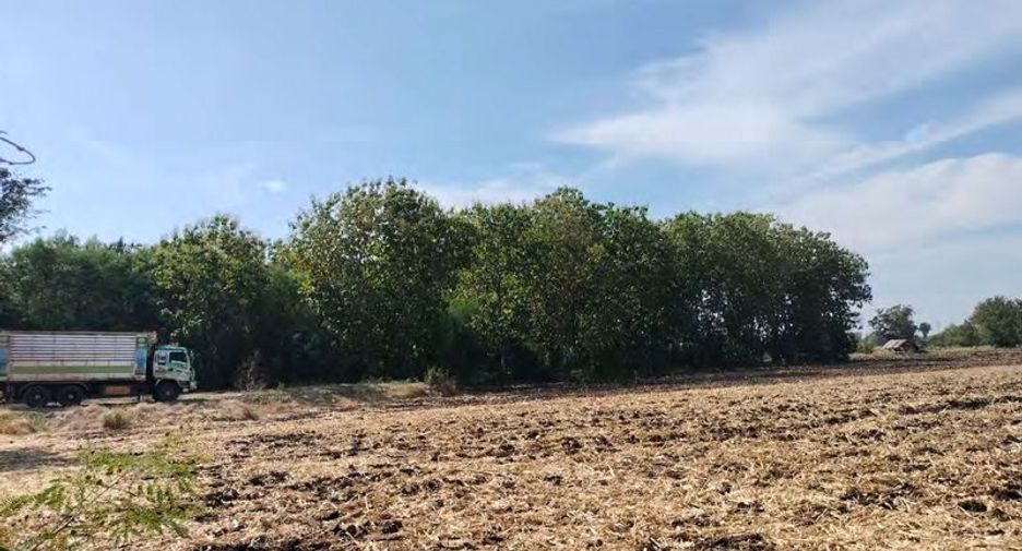 For sale land in Khok Samrong, Lopburi