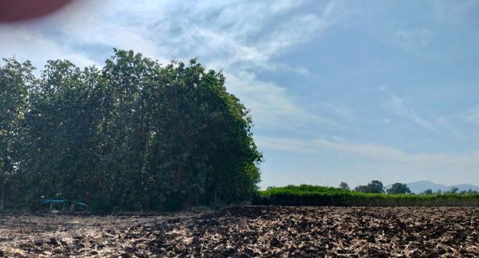 For sale land in Khok Samrong, Lopburi