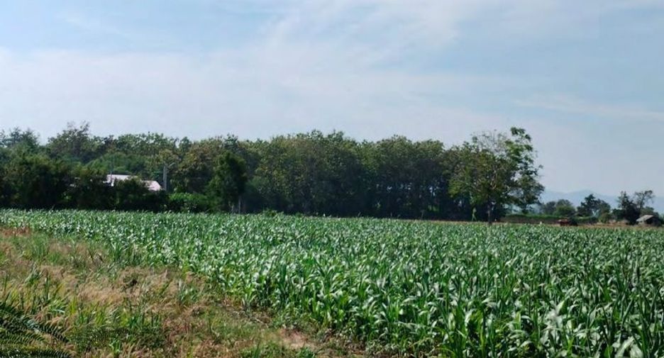 For sale land in Khok Samrong, Lopburi