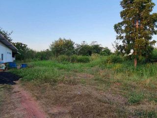 For sale land in Sikhio, Nakhon Ratchasima