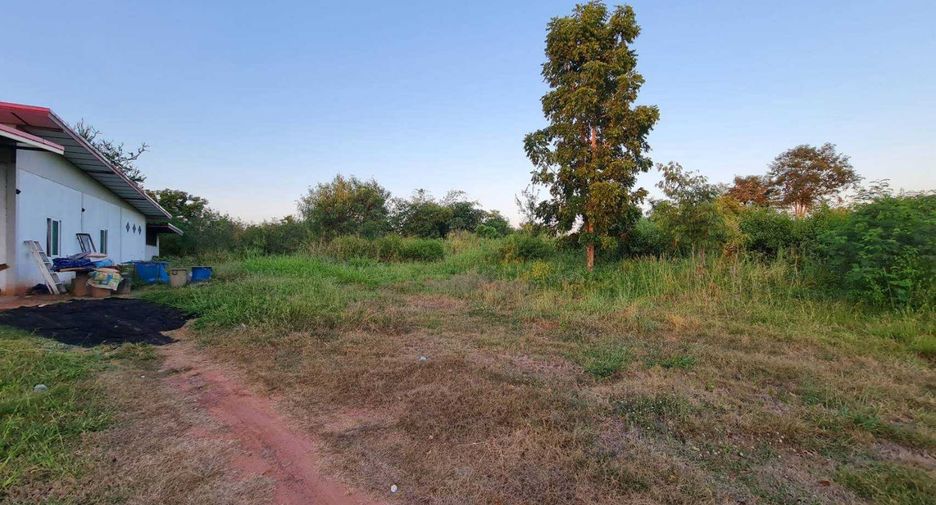 Grundstück zum Kauf in Sikhio, Nakhon Ratchasima