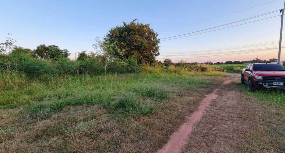 Grundstück zum Kauf in Sikhio, Nakhon Ratchasima