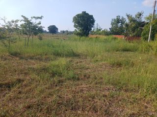 For sale land in Wang Thong, Phitsanulok