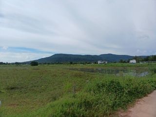 For sale land in Wang Thong, Phitsanulok