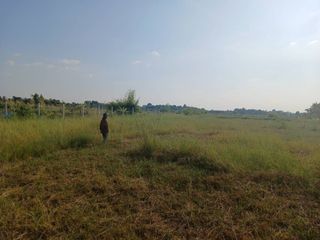 For sale land in Wang Thong, Phitsanulok