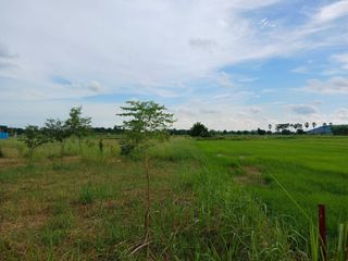 For sale land in Wang Thong, Phitsanulok