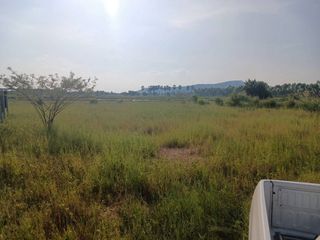 For sale land in Wang Thong, Phitsanulok