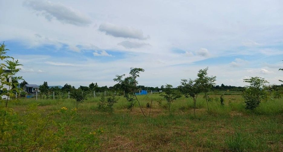 For sale land in Wang Thong, Phitsanulok