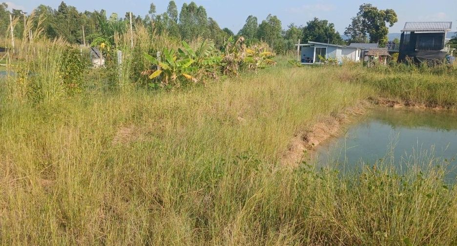 For sale land in Wang Thong, Phitsanulok