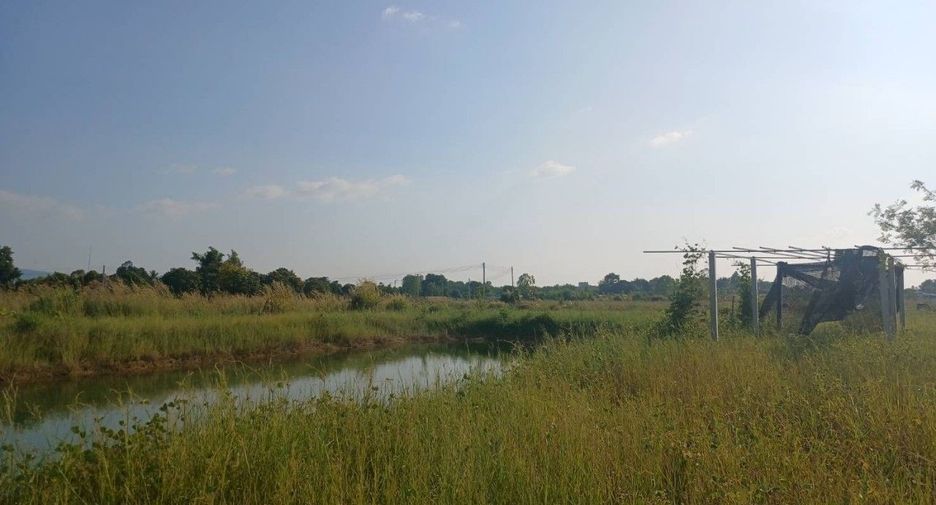 For sale land in Wang Thong, Phitsanulok