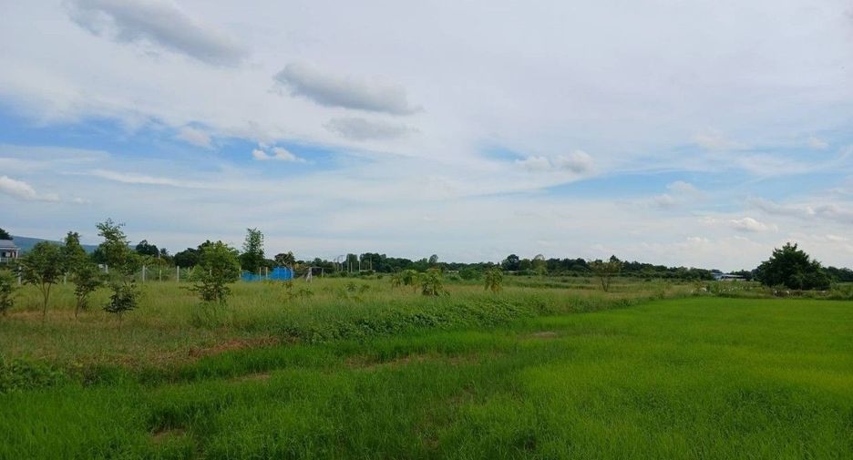 For sale land in Wang Thong, Phitsanulok