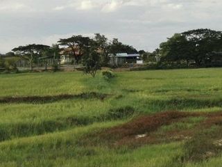 For sale land in Non Sung, Nakhon Ratchasima