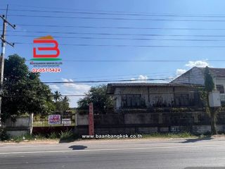 For sale land in Doi Lo, Chiang Mai