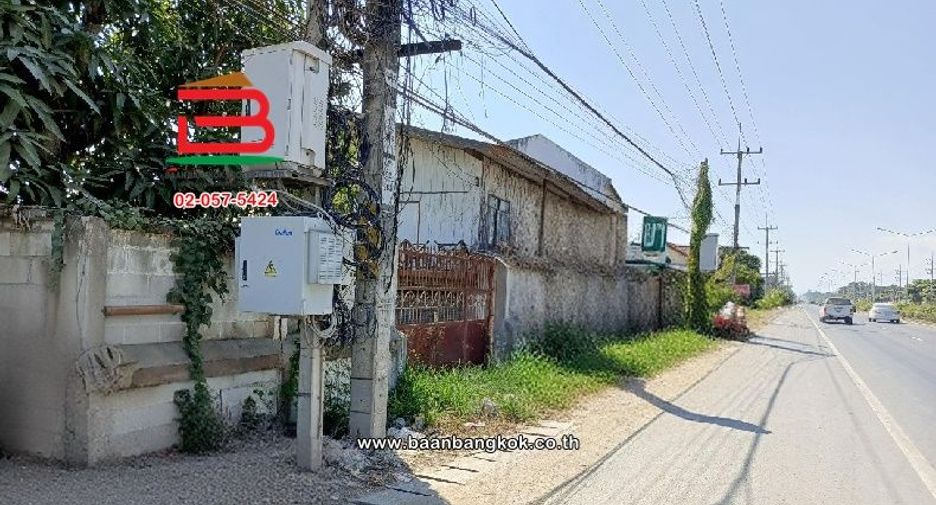 For sale land in Doi Lo, Chiang Mai