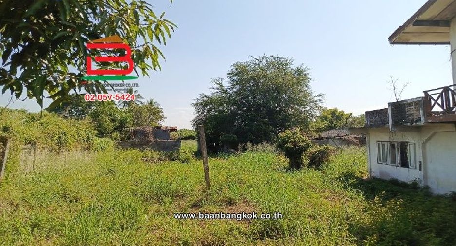 For sale land in Doi Lo, Chiang Mai