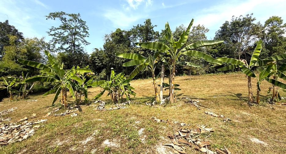 Grundstück zum Kauf in Mueang Krabi, Krabi