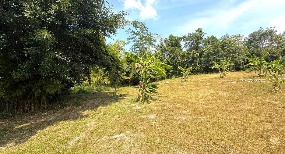 Grundstück zum Kauf in Mueang Krabi, Krabi