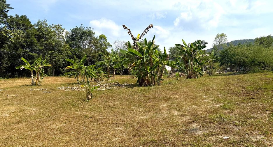 Grundstück zum Kauf in Mueang Krabi, Krabi