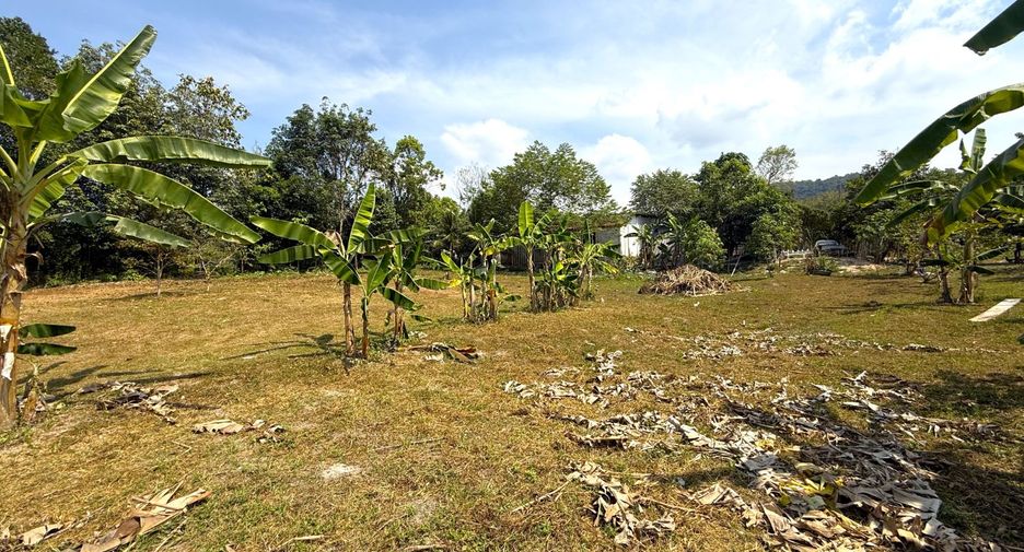 Grundstück zum Kauf in Mueang Krabi, Krabi