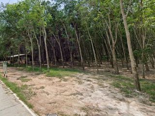 ขาย ที่ดิน ใน เมืองระยอง, ระยอง