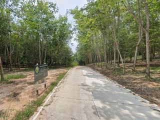 ขาย ที่ดิน ใน เมืองระยอง, ระยอง