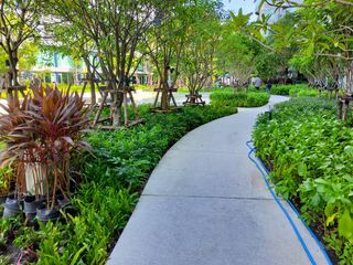 Аренда 1 кровать кондо в Khlong Luang, Патумтани