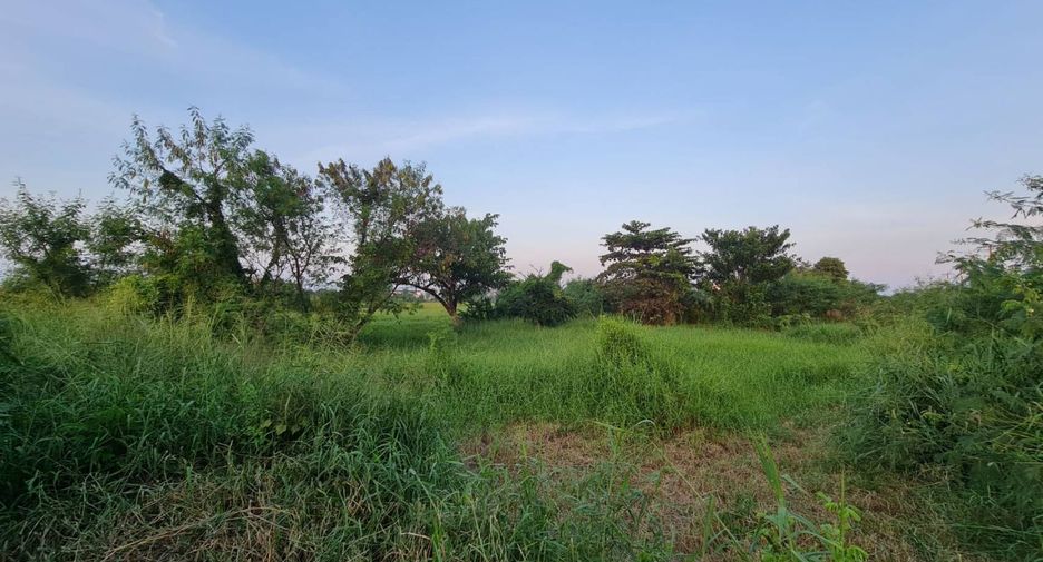 À vendre terrain à Sung Noen, Nakhon Ratchasima