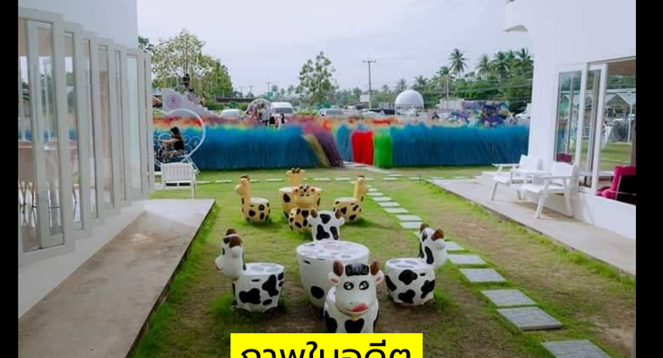 Продажа Участок в Tha Yang, Пхетбури