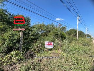 For sale land in Doi Lo, Chiang Mai