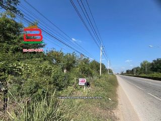 For sale land in Doi Lo, Chiang Mai