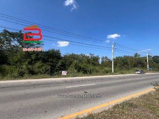 For sale land in Doi Lo, Chiang Mai