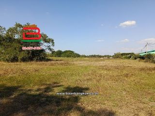 For sale land in Doi Lo, Chiang Mai