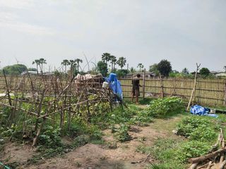 For sale land in Hang Chat, Lampang
