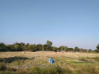 For sale land in Hang Chat, Lampang