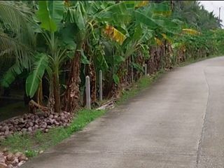 For sale land in Sam Phran, Nakhon Pathom