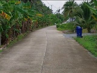 For sale land in Sam Phran, Nakhon Pathom