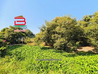 For sale land in Bang Sai, Phra Nakhon Si Ayutthaya