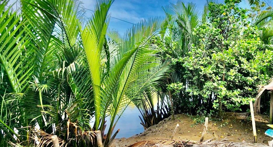 For sale land in Mueang Samut Songkhram, Samut Songkhram