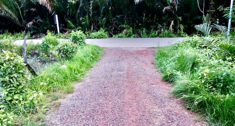 For sale land in Mueang Samut Songkhram, Samut Songkhram