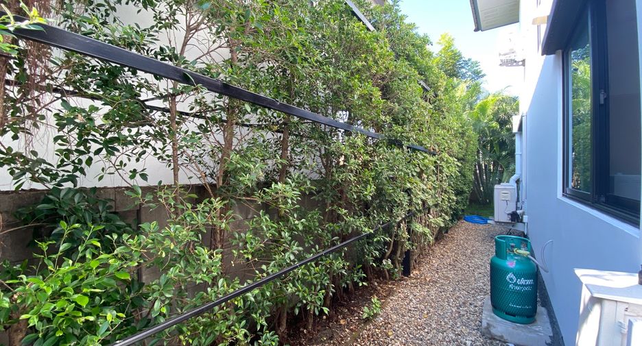 For rent 3 bedrooms house in Doi Saket, Chiang Mai