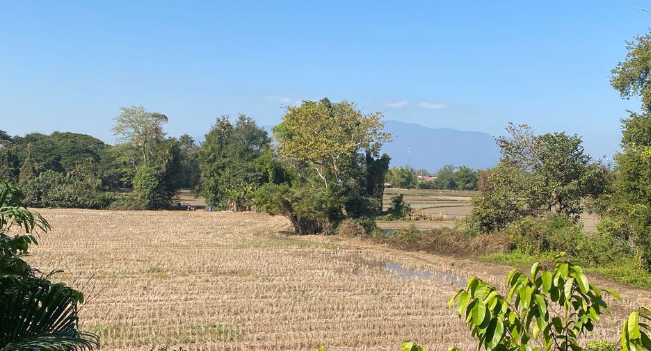 For rent 3 bedrooms house in Doi Saket, Chiang Mai