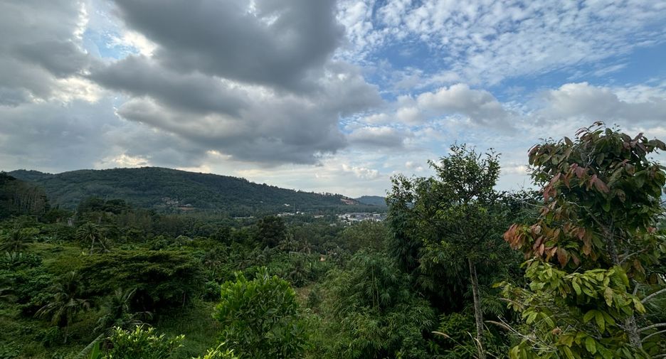 出售 土地 在 Phuket Town, 普吉
