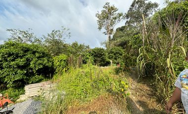 ขาย ที่ดิน ใน เมืองภูเก็ต, ภูเก็ต