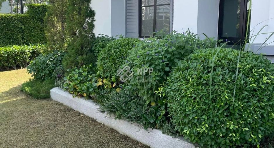 Haus zum Kauf mit 5 Zimmer in Saphan Sung, Bangkok