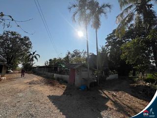 For sale land in Kong Krailat, Sukhothai
