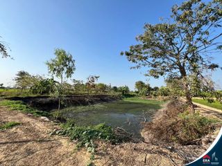 For sale land in Kong Krailat, Sukhothai
